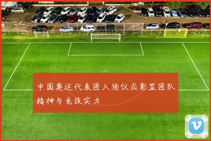 中国奥运代表团入场仪式彰显团队精神与竞技实力