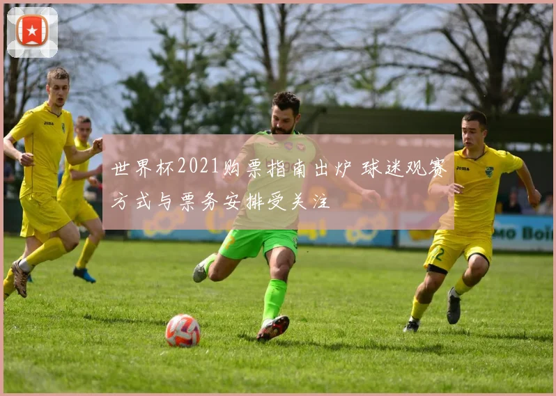 世界杯2021购票指南出炉 球迷观赛方式与票务安排受关注