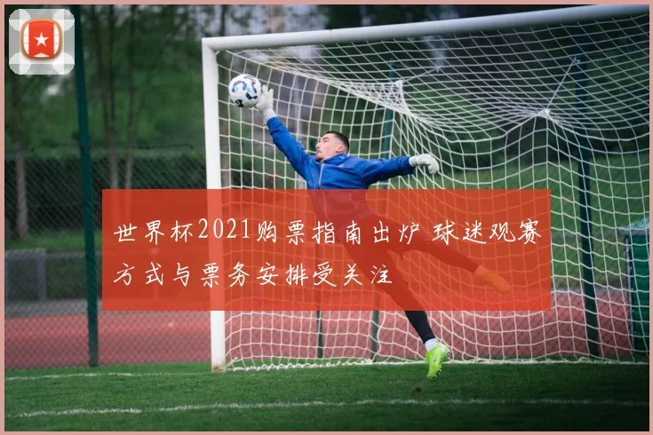 世界杯2021购票指南出炉 球迷观赛方式与票务安排受关注