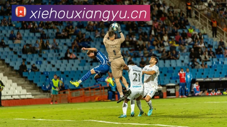 mksports网站平台生态图